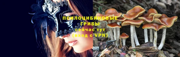 ГАЛЛЮЦИНОГЕННЫЕ ГРИБЫ Гусиноозёрск