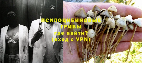 таблы Гусев