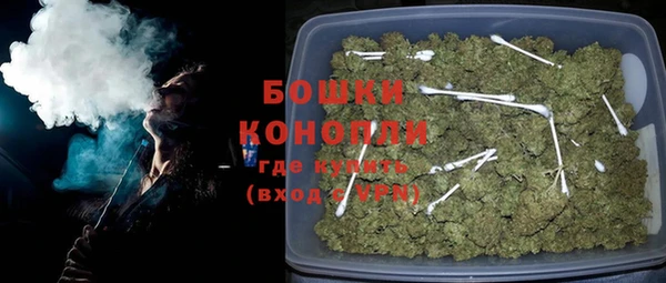 бошки Дмитриев