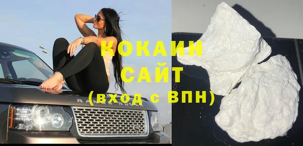таблы Гусев