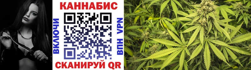 Марихуана план  купить наркотики сайты  Тамбов 